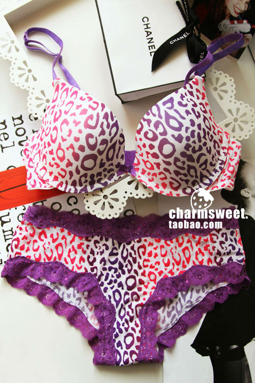 Wholesale USA sexy bra set leopard lace push up ladies bra sets seamless bra women underwear