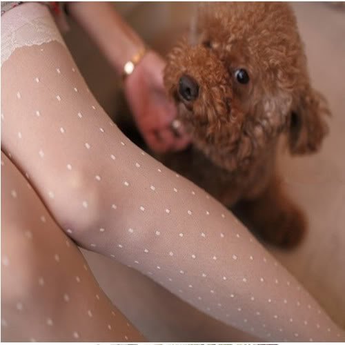 Women Attractive Lace Pattern Jacquard Bride Pantyhose Tights Socks Stocking New[ 040611]