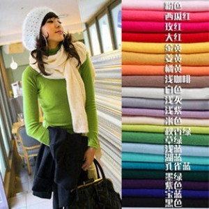 Women's autumn and winter women's basic shirt faux turtleneck slim all-match basic shirt clothes