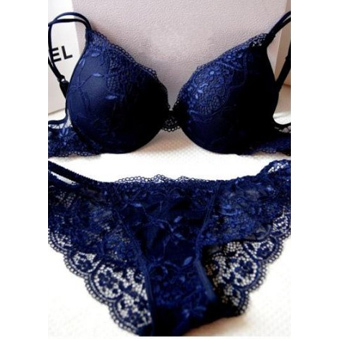 Women's sexy lace blue bra set, famous brand, underwear for female, retail or wholesale, free shipping, W370