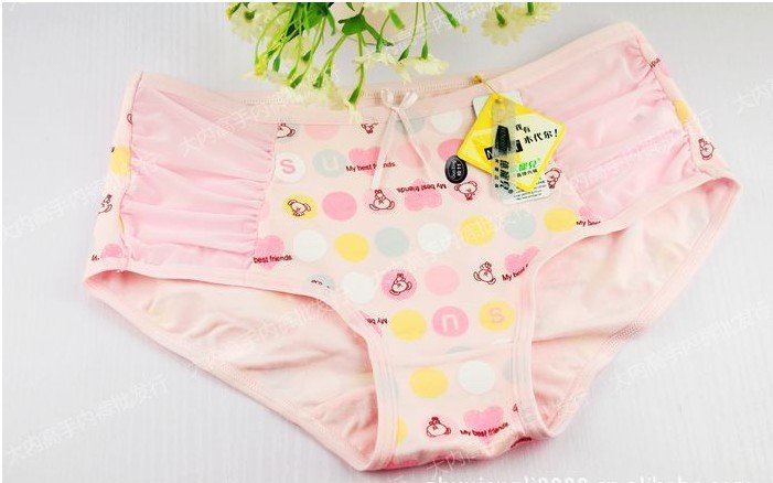 Women's Waistline Cotton Briefs / Cute Sweet Cartoon Panties FREE SHIPPING DNW27